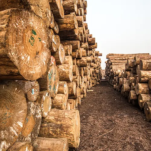 Quality-Control-wood